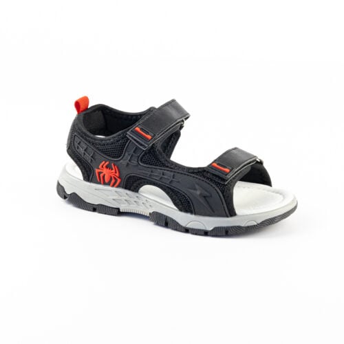 Turtles - Rs-2312063