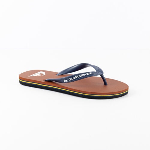 Quicksilver - Molokai Core-aqyl101325-rvj3