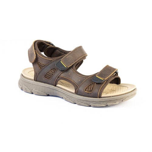 Hush Puppies - Harvie