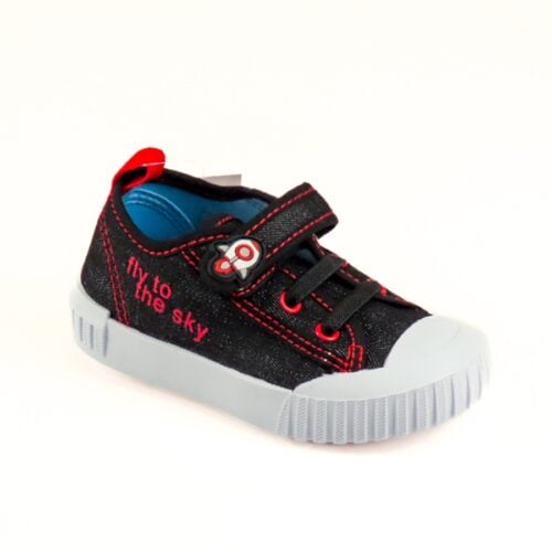 Turtles - Fib2505