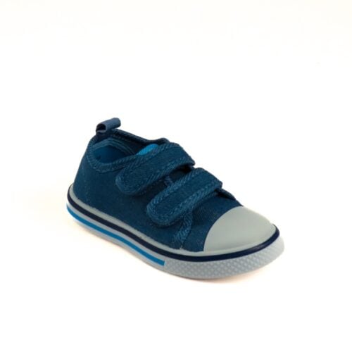 Turtles - Fib2506