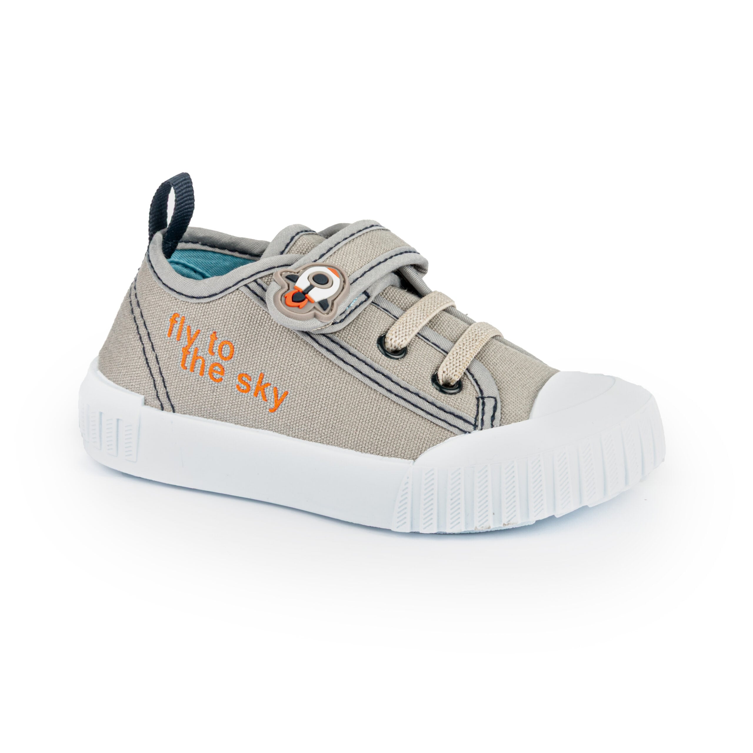 Turtles - Fib2505