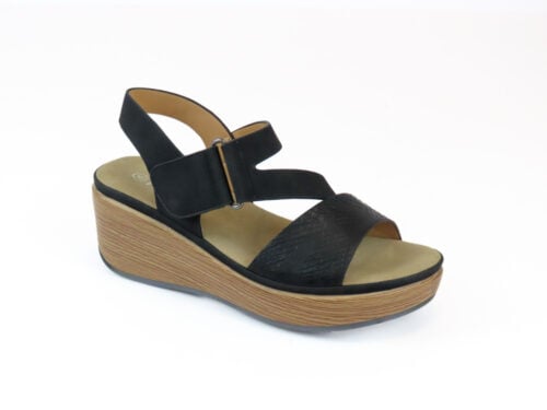 Turtles - Gy2502-1