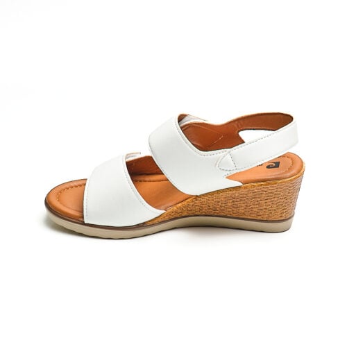 Pierre Cardin - Pcl10831 - Image 2
