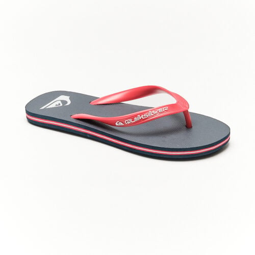 Quicksilver - Molokai Core-aqyl101325-rvj1