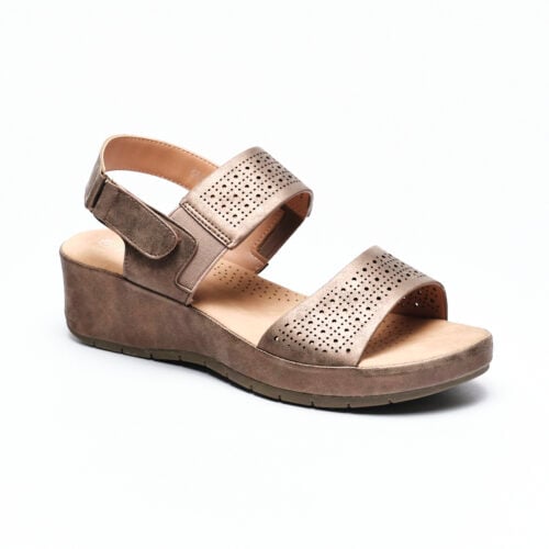 Turtles - Turtles-gy229-1-dinah 1