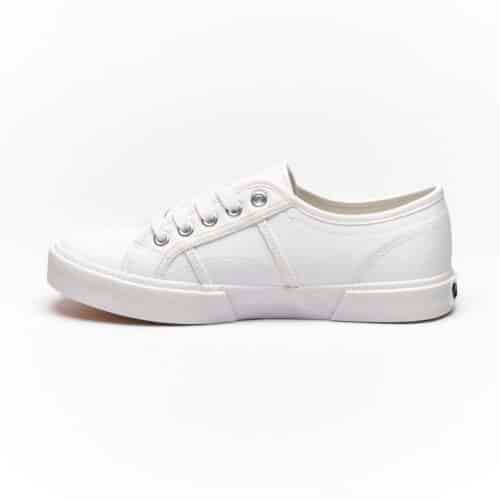 Pierre Cardin - Pcl01370 - Image 2
