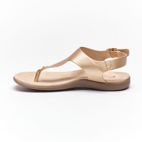 Alternative view of Soft Style - Nelsan